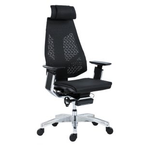 Ергономичен стол GENIDIA